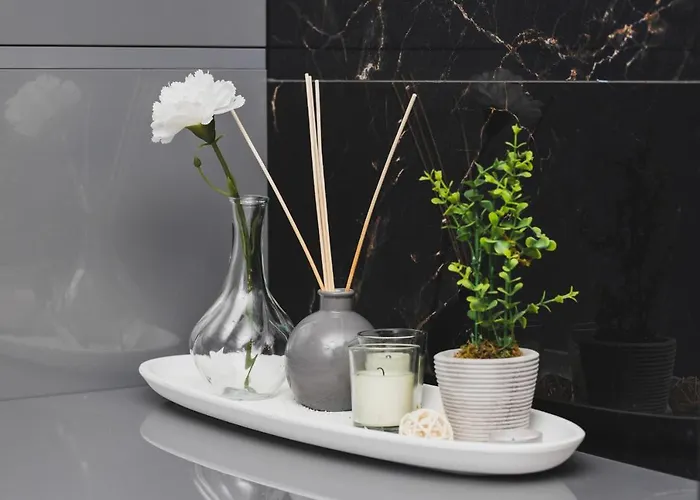 Luxurious With Two Bedrooms And Parking In By Renters *